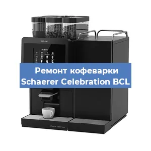 Замена счетчика воды (счетчика чашек, порций) на кофемашине Schaerer Celebration BCL в Воронеже